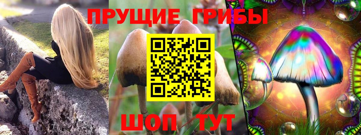 Псилоцибиновые грибы прущие грибы Владивосток